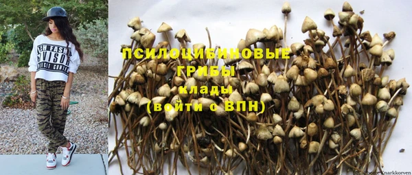 бошки Богданович
