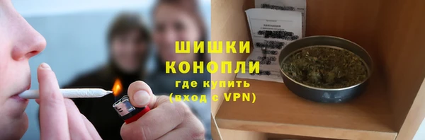 соль ск Богородицк