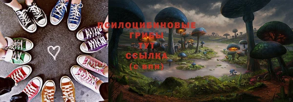 соль ск Богородицк
