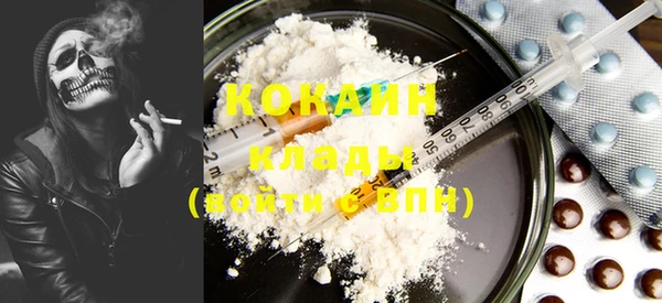 бошки Богданович