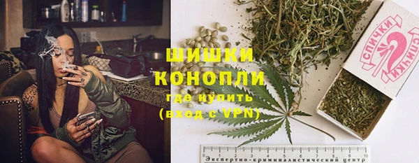 бошки Богданович
