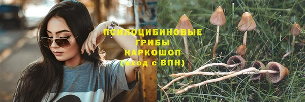 синтетический гашиш Белокуриха