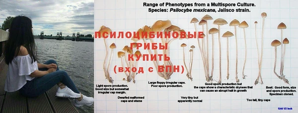 кокаин колумбия Беломорск
