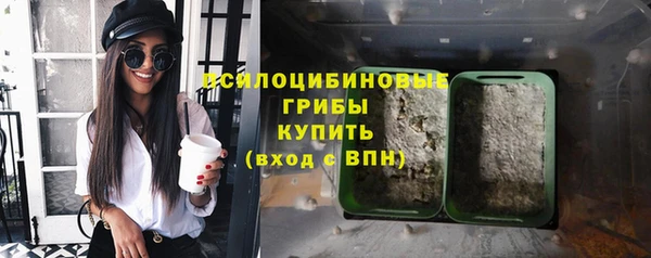 PSILOCYBIN Белоозёрский