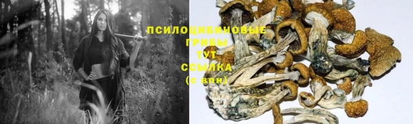 MDMA Богородск