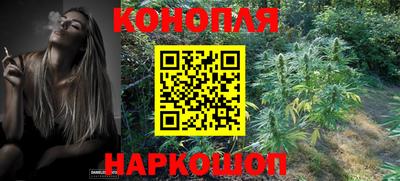 мет Новозыбков