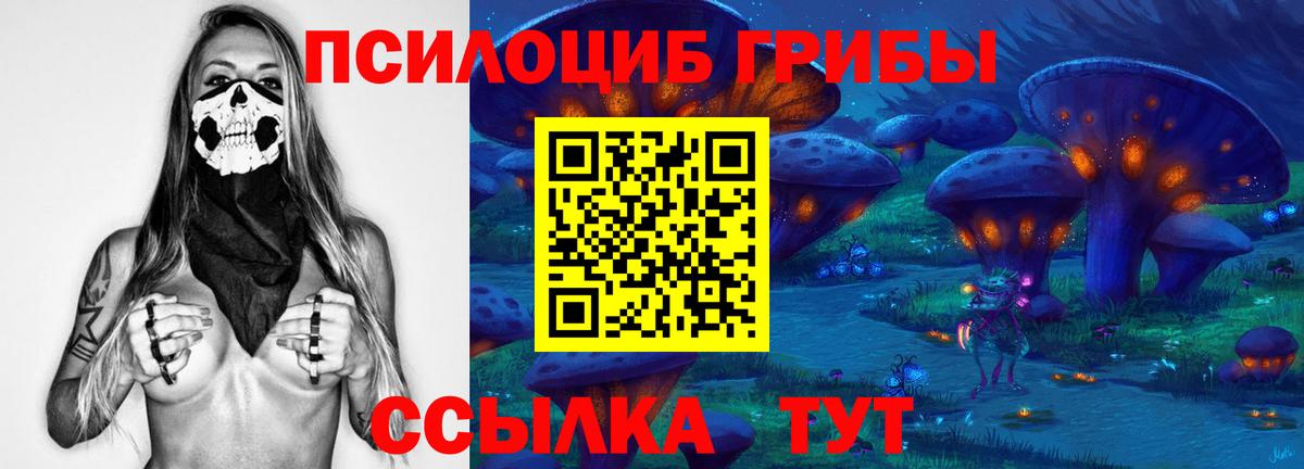 Псилоцибиновые грибы GOLDEN TEACHER  Вход с VPN  Видное 