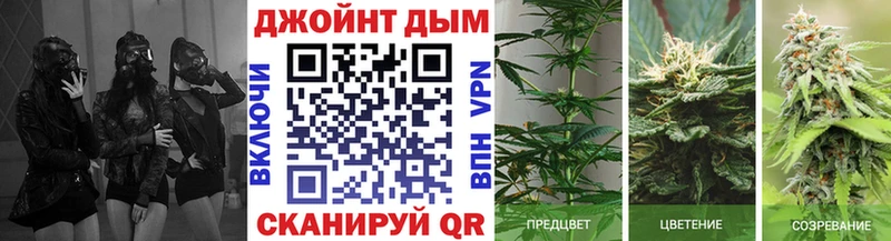 Шишки марихуана Bruce Banner Видное