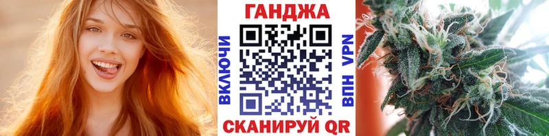 Канабис сатива  закладка  Видное 